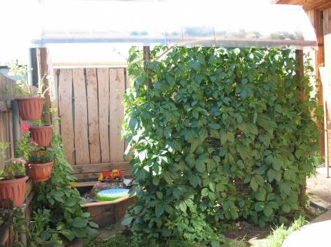 Продам дом, Россия, Красноярский край, Минусиснк, ул. Победы д. 41, фотография 2