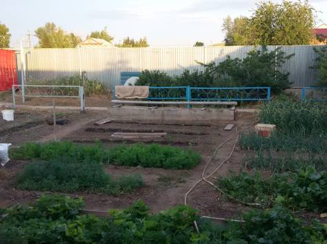 дом, фотография 3