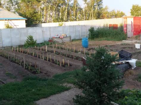 дом, фотография 4