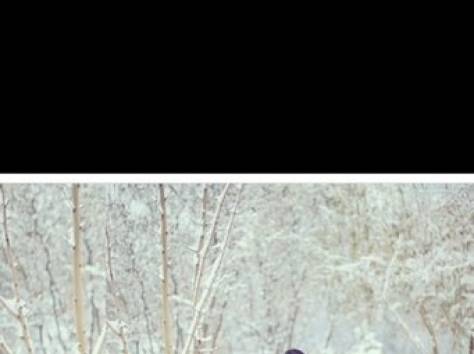 сдам на прокат камзол со шлейфом, фотография 1