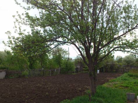 Продам дачу в Астане, фотография 1