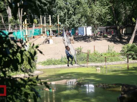 Активный отдых в Верёвочном парке в городе Алматы, фотография 10