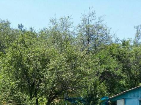 Продам дачу в Кок-Лай-Сае, фотография 2