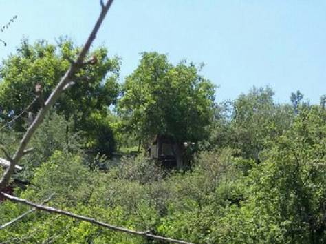 Продам дачу в Кок-Лай-Сае, фотография 3