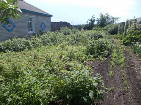 СРОЧНО!!! ПРОДАМ ИЛИ ОБМЕНЯЮ, фотография 3