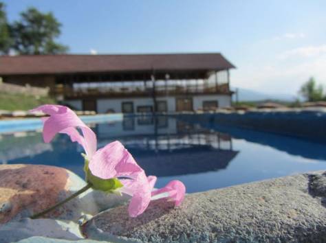 Отдых в Алматы, фотография 6