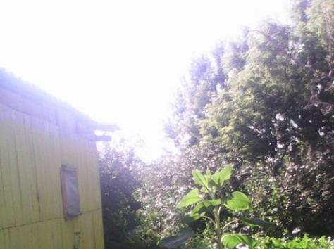 Срочно продам дачу в Астане, фотография 1