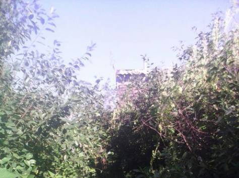 Срочно продам дачу в Астане, фотография 6