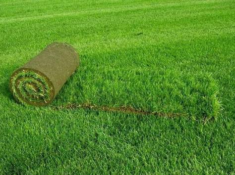 Газоны и озеленение в Алматы., фотография 2