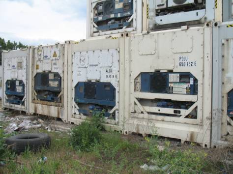 Аренда холодильников-складов, фотография 8