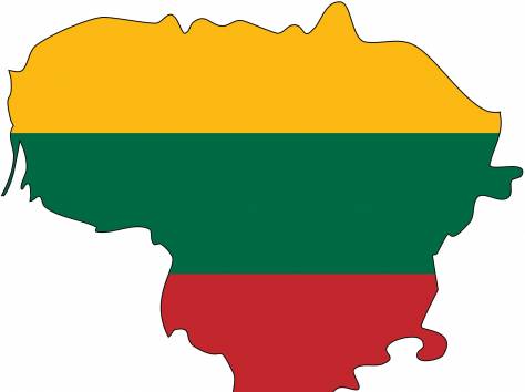 Оформление визы в Литву, фотография 1