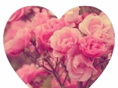 Предлагаю услуги портного!, фотография 1