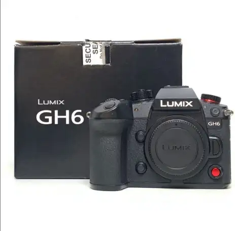 Беззеркальная камера Panasonic Lumix GH6, фотография 1