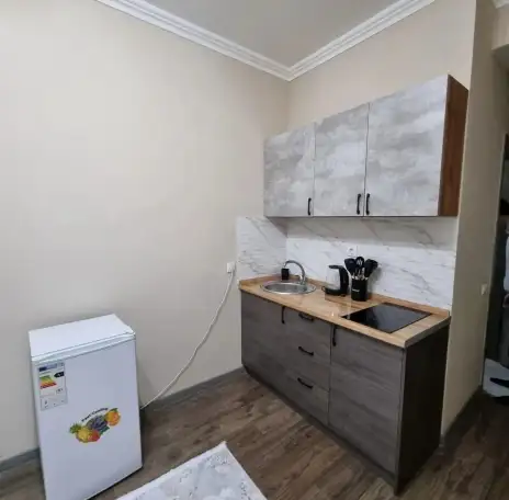 Сдам 1 комнатную квартиру посуточно в аренду, Муканова 159, фотография 5