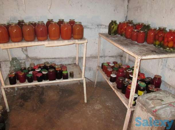 Дом, с.Сосновый Бор Клановая 16, фотография 9