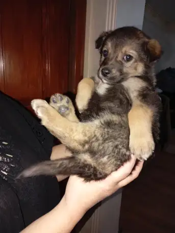 Забери меня к себе, Добрый человек, фотография 4