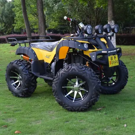 Квадроцикл 250сс на кардане, фотография 6