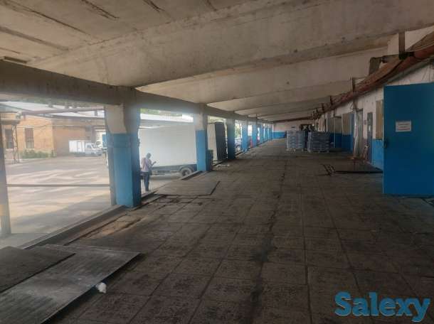 Сдаем в аренду, Турксибский район, ул. Бекмаханова 97А, фотография 11