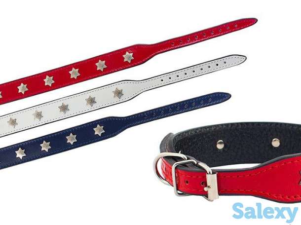 Зоотовары, фотография 5