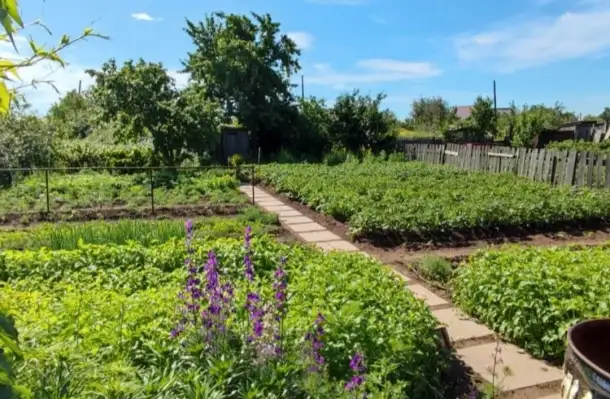 Продам дачу Темирязево 5 линия, фотография 1