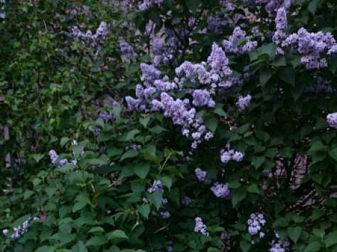 поиск работы зп от 100 000 и выше , фотография 6