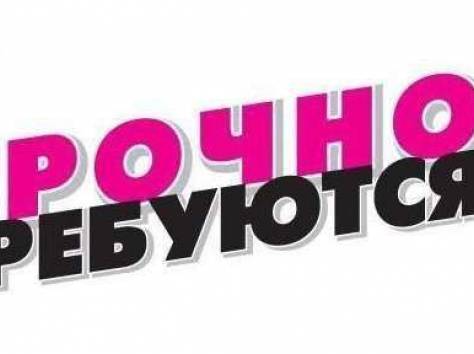  Сотрудник в офис на функции офис - менеджера, фотография 1