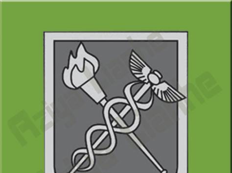 Таможенное оформление грузов в Китае на любом пункте пропуска., фотография 1