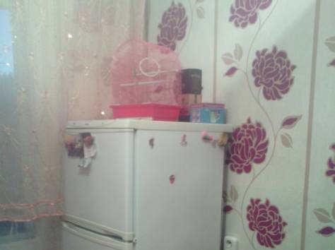 сдаю, майкудук, 11а мкрн, фотография 3