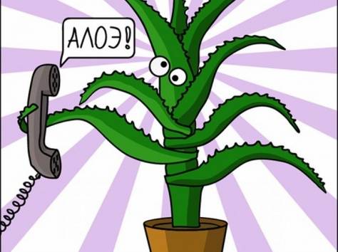 С функциями офис-менеджера, фотография 1