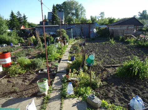 Продам дачу, фотография 9