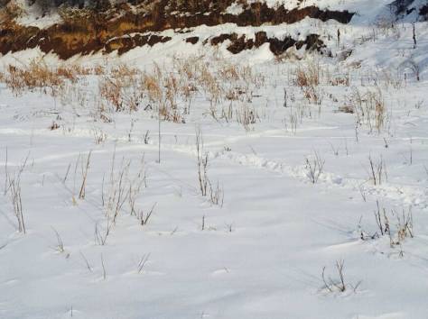 Срочно продам участок 9соток Наурызбайский р-н Каменка Алматы, фотография 1