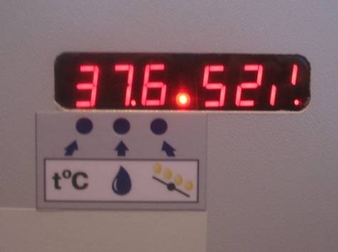 Инкубатор ИЛБ-0.5В (Выводной), фотография 1