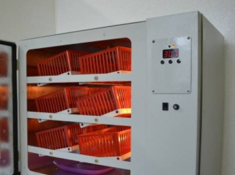 Инкубатор ИПХ-12, фотография 1