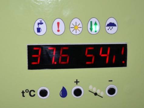 Инкубатор Титан, фотография 3