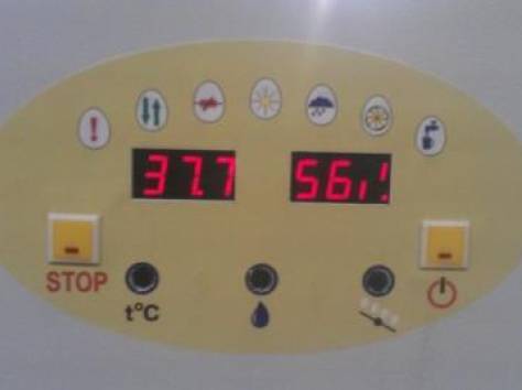 Инкубатор Витязь, фотография 1