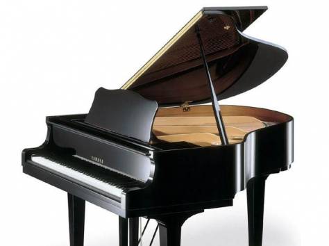 Музыкальная школа-студия для детей и взрослых, Алматы, фотография 6