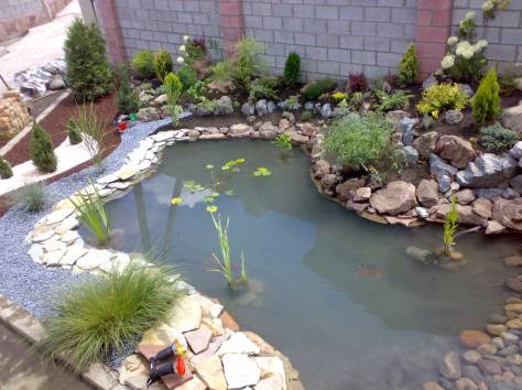 Ландшафтный дизайн. Озеленение., фотография 3