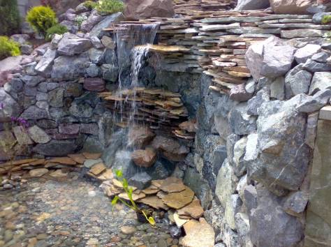 Ландшафтный дизайн. Озеленение., фотография 4