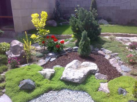 Ландшафтный дизайн. Озеленение., фотография 5