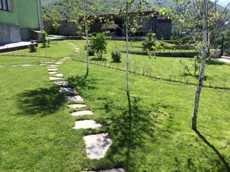 Рулонный газон, фотография 1