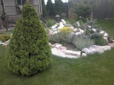 Рулонный газон, фотография 2