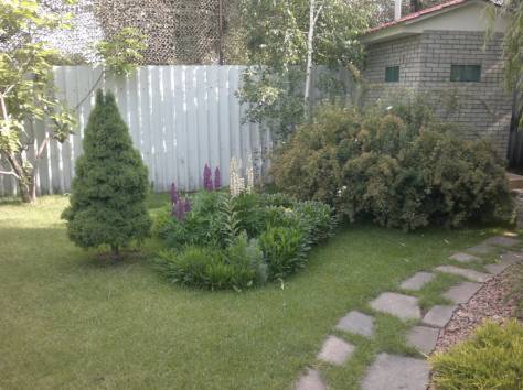 Рулонный газон, фотография 3