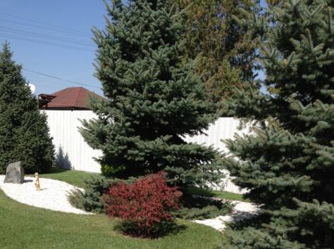 Рулонный газон, фотография 5