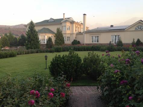 Рулонный газон, фотография 7