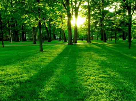 Требуются компания ведёт набор, фотография 1