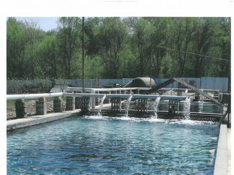 Форелевый питомник., фотография 5