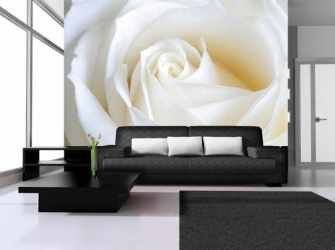 наклейка обоев,побелка, фотография 2