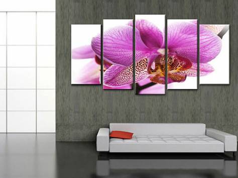 наклейка обоев,побелка, фотография 3