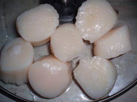 Оптовая продажа морепродуктами., фотография 9