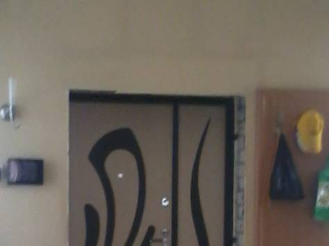 Входные двери с ковкой и стеклопакетом, фотография 12